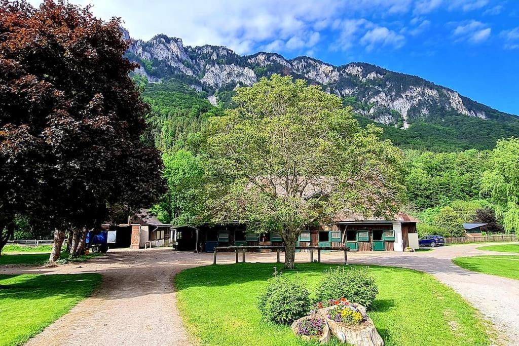 Cosy Family Apartment Reichenau Exterior photo
