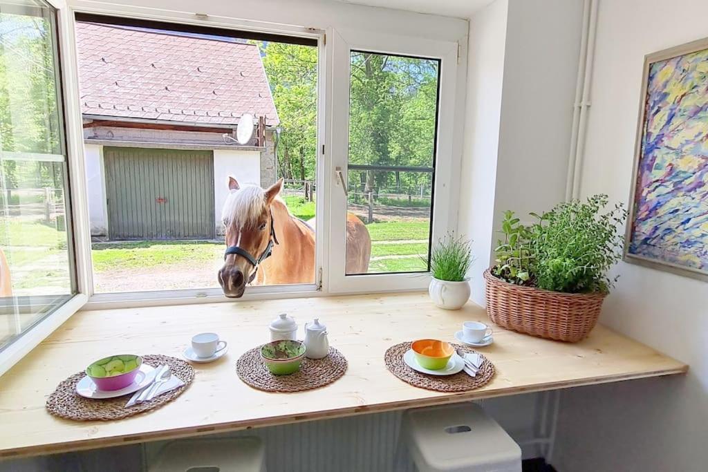 Cosy Family Apartment Reichenau Exterior photo